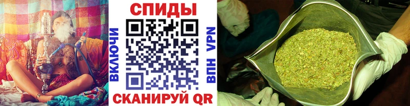Купить  Карабулак  БУТИРАТ буратино 