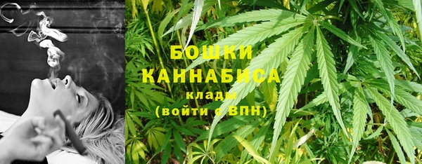 молекула духа Волоколамск