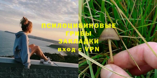 дмт Вяземский