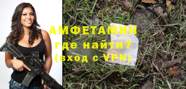 молекула духа Волоколамск