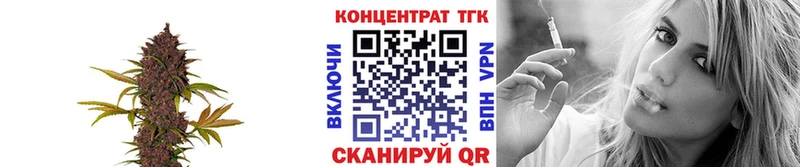Купить  Карабулак  ТГК жижа 